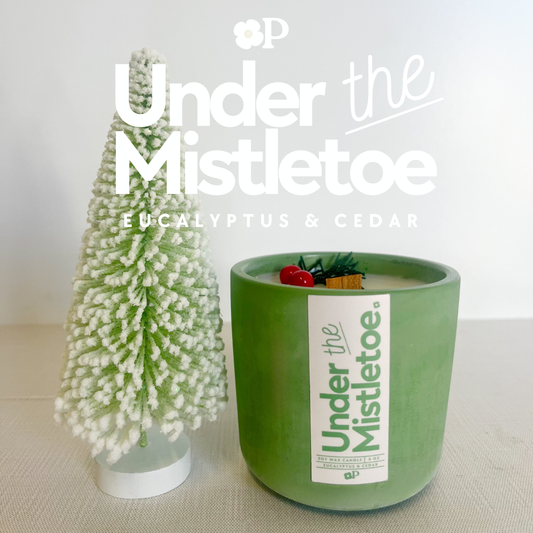 Under the Mistletoe • Eucalyptus & Cedar Candle