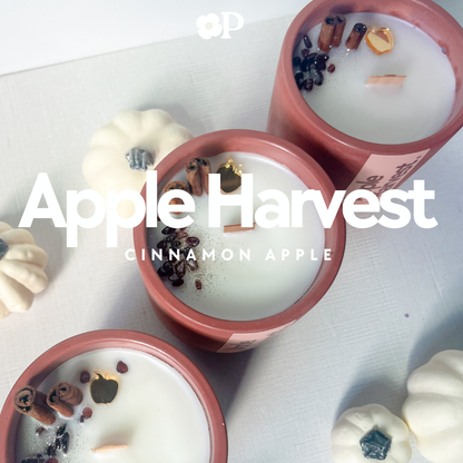 Apple Harvest • Cinnamon Apple Candle