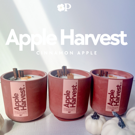 Apple Harvest • Cinnamon Apple Candle