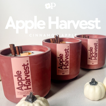 Apple Harvest • Cinnamon Apple Candle