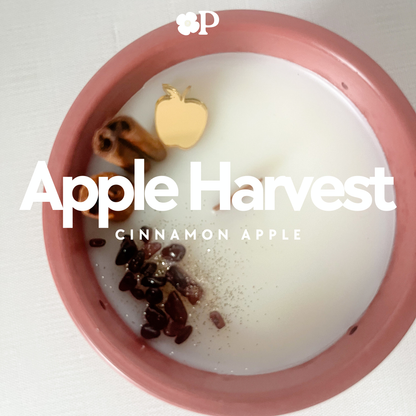 Apple Harvest • Cinnamon Apple Candle