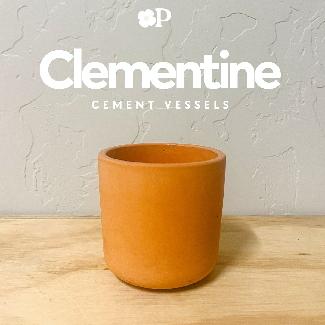 Clementine Cement Vessels • Set of 4